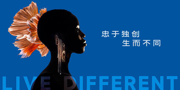 品(pin)牌理(li)念